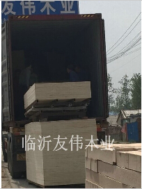 《定尺膠合板》誰都離不開你。